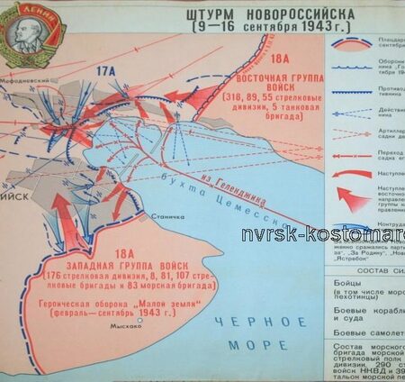 Новороссийск: Где “Малая Земля” Становится Полем Интеллектуальных Битв