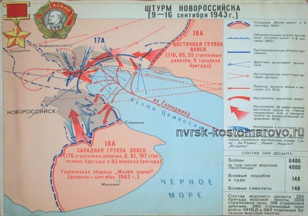 Preview Новороссийск: Где “Малая Земля” Становится Полем Интеллектуальных Битв