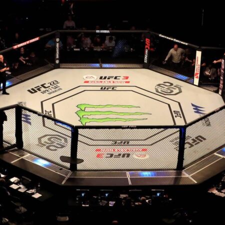 ММА: Где Каждый Удар Переписывает Судьбу — От Закулисья до Октагона