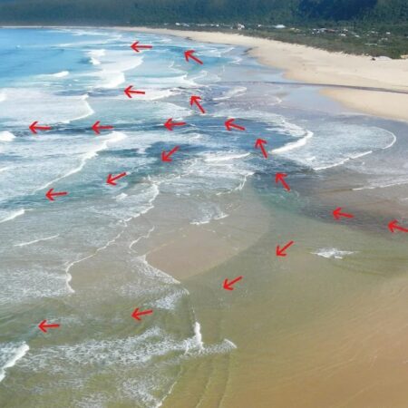 Откровения Криса Брода: Подводные течения в мировом крикете и «снисходительность по телефону»