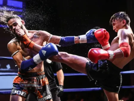 Спортивные линии в 1Win и 1xbet: полный обзор и возможности для бетторов