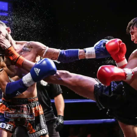 Спортивные линии в 1Win и 1xbet: полный обзор и возможности для бетторов