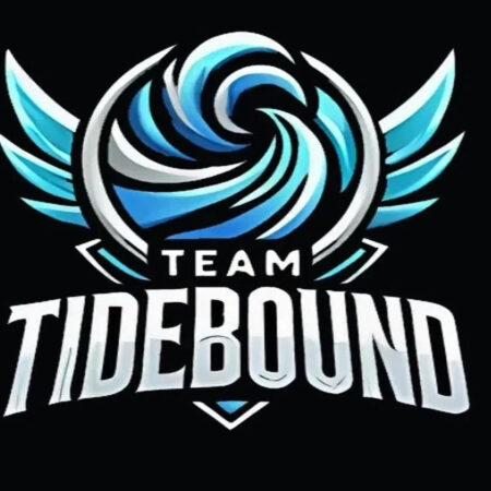 Team Tidebound уходит из Dota 2: Конец короткой истории и судьба чемпионов