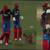 Абхишек Порел из Delhi Capitals и очаровательный «нарушитель» на тренировке