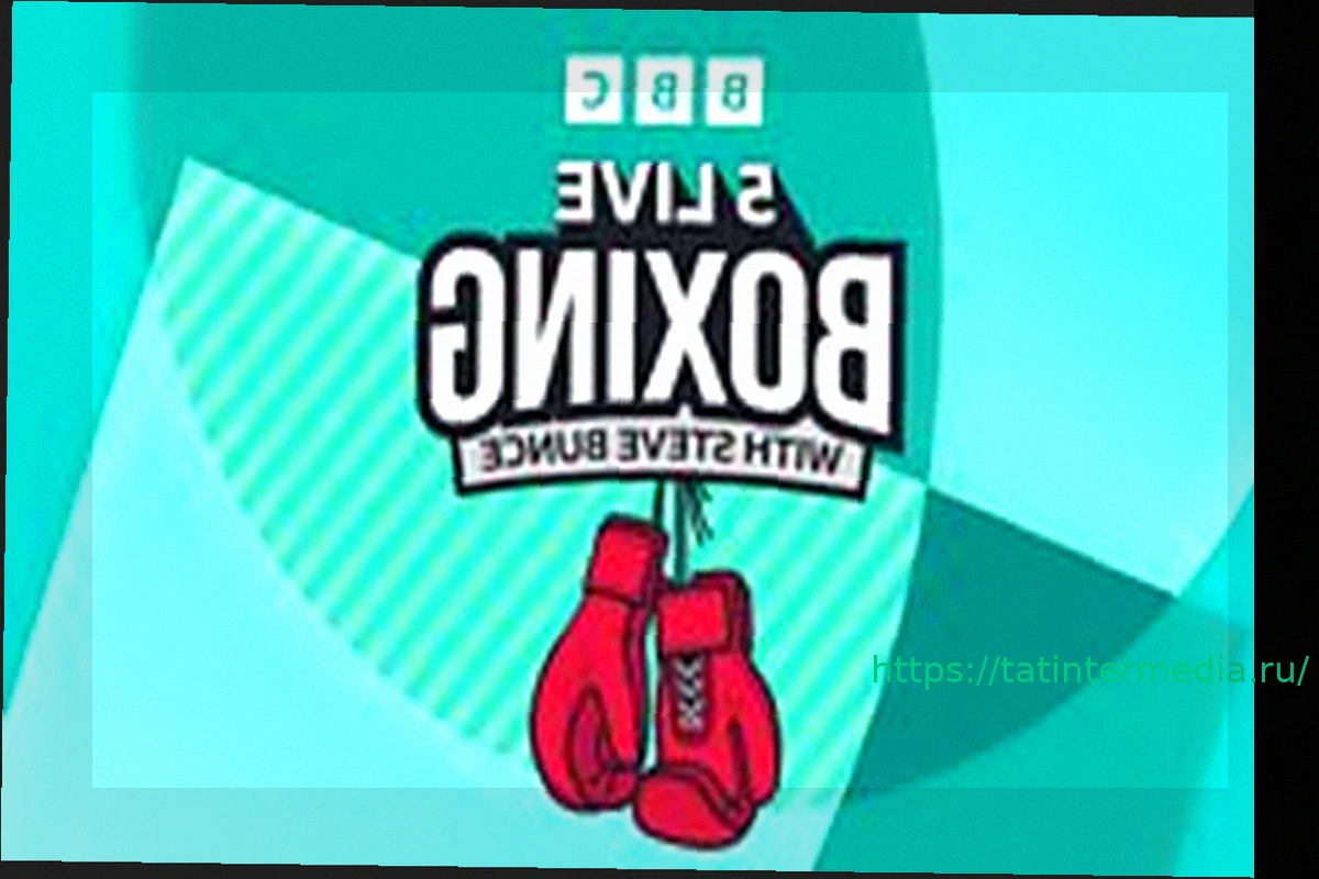 Preview Стив Коллинз – Кельтский Воин