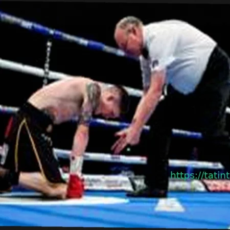 Привилегии, критика и VAR – жизнь боксерского рефери