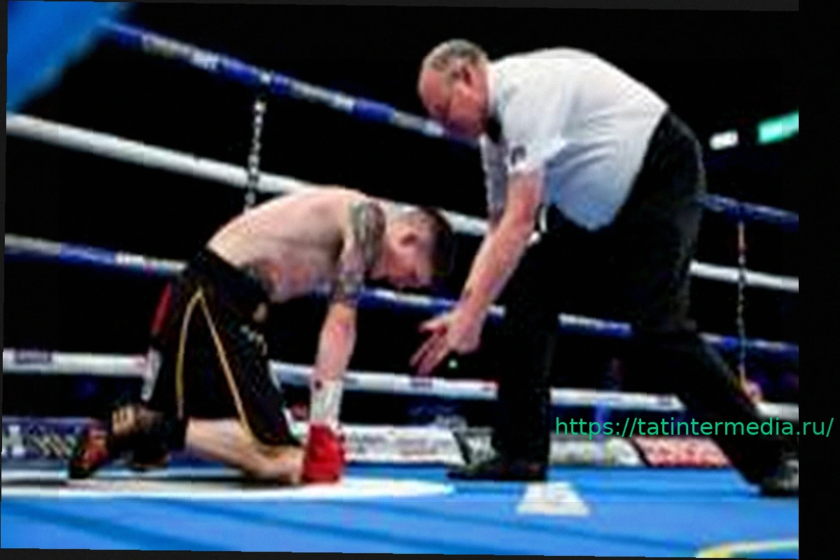 Preview Привилегии, критика и VAR – жизнь боксерского рефери