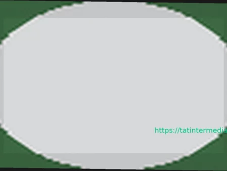 Момо Диуф продлевает контракт с «Виртус Болонья» до 2027 года