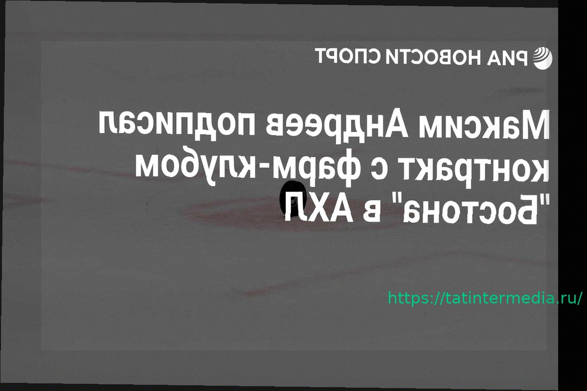Preview Российский нападающий Максим Андреев подписал пробный контракт с фарм-клубом «Бостона»