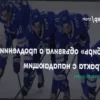 «Сибирь» сохранила нападающего Максима Сушко еще на сезон