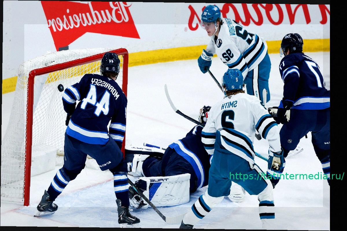 Preview «Сан-Хосе» разгромил «Виннипег» со счетом 6:1, Чернышов забил гол