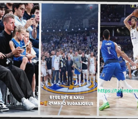 Когда трибуны затмевают паркет: Дончич и Джокович вместе на матче Реал Мадрид – Црвена Звезда