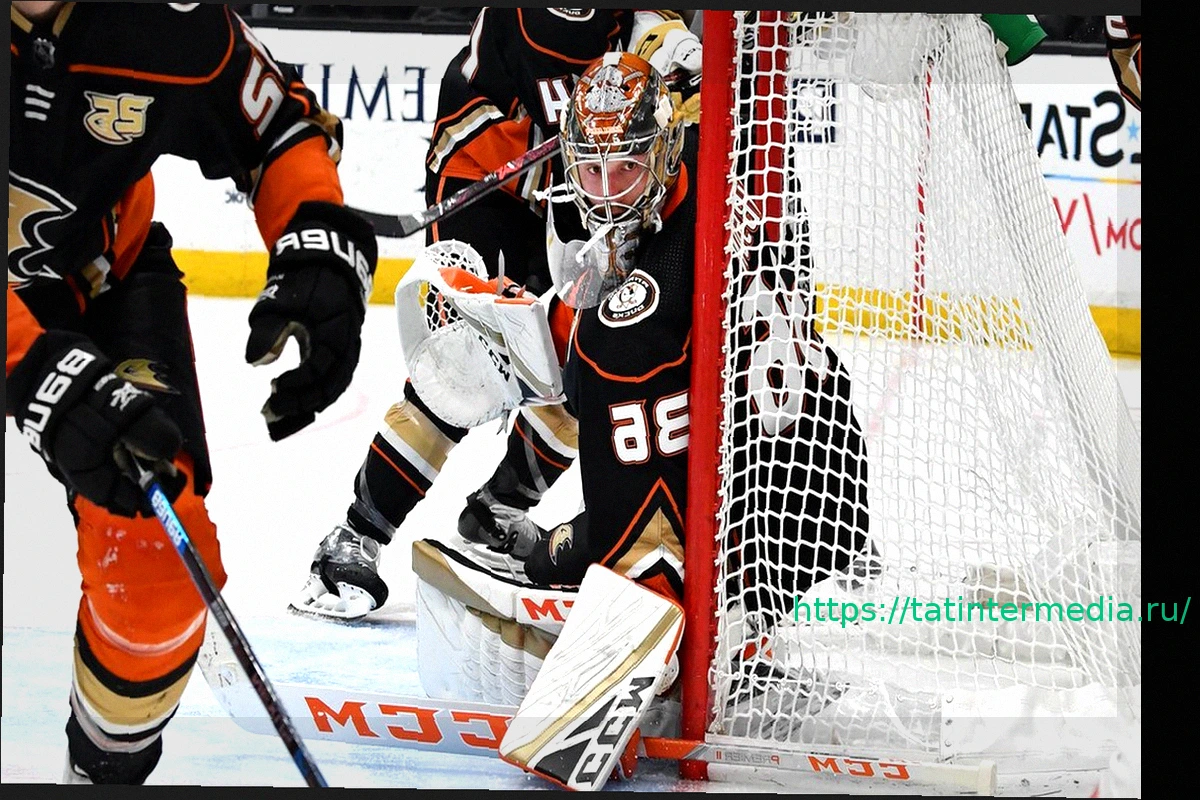 Preview «Вегас» против «Юты»: расписание первого раунда плей-офф НХЛ 2026