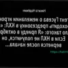 Будущее Никиты Гусева: комментарий агента
