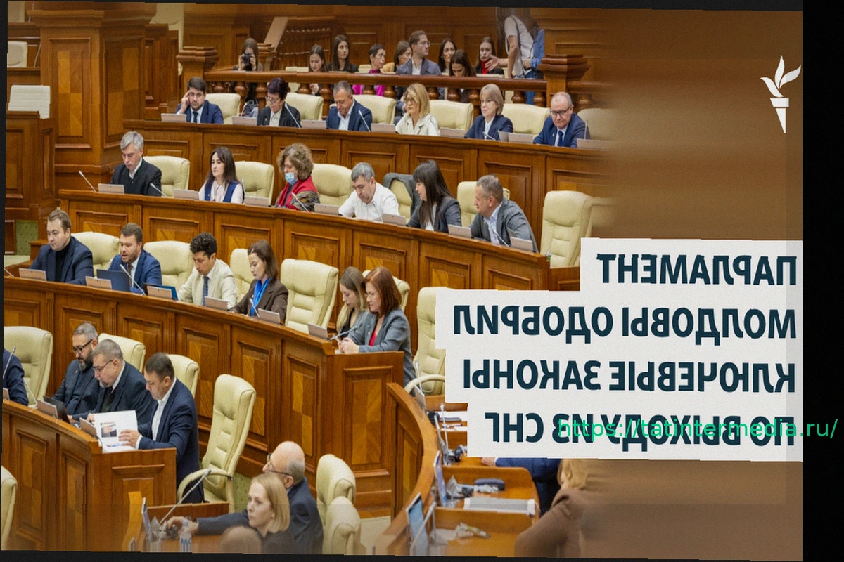 Preview Угрозы смерти и теории заговора: Alpine выступает против токсичности в сети