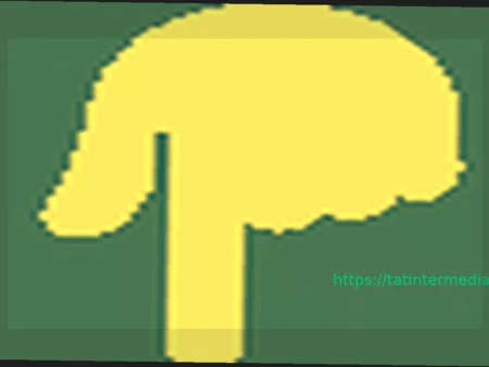 USPTO отклонил заявку на регистрацию бренда Bronny James