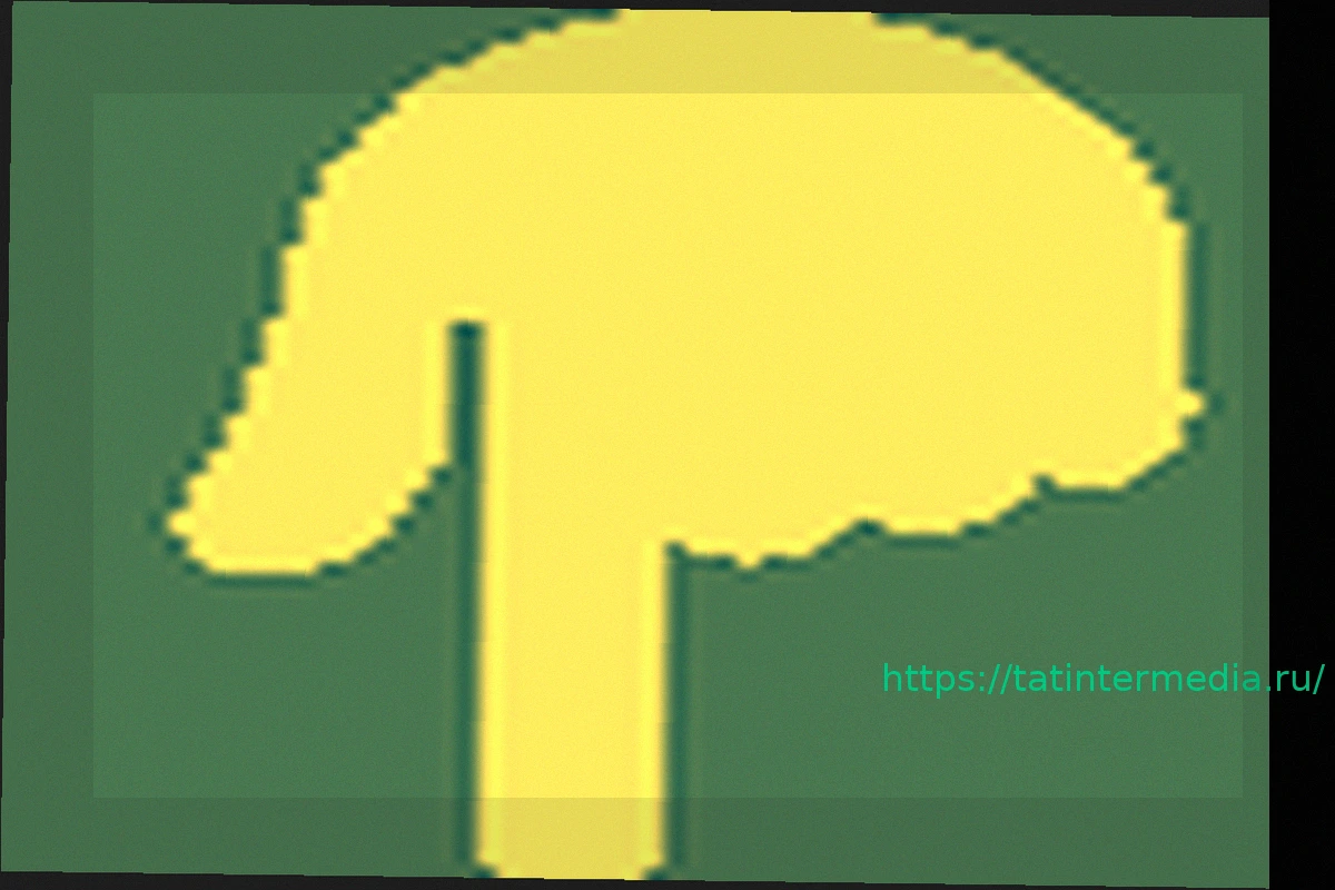 Preview USPTO отклонил заявку на регистрацию бренда Bronny James