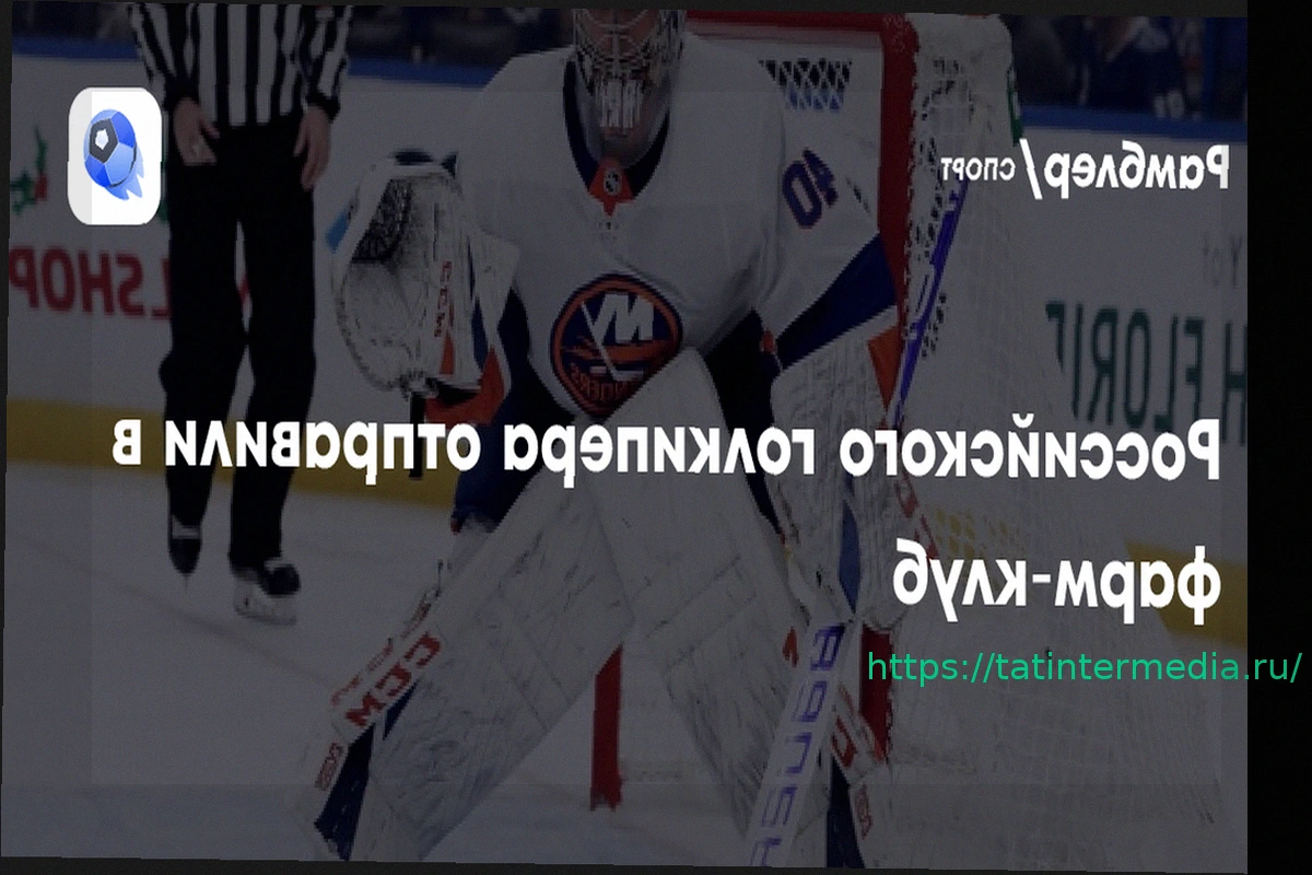 Preview «Айлендерс» отправили Варламова в фарм-клуб для набора формы