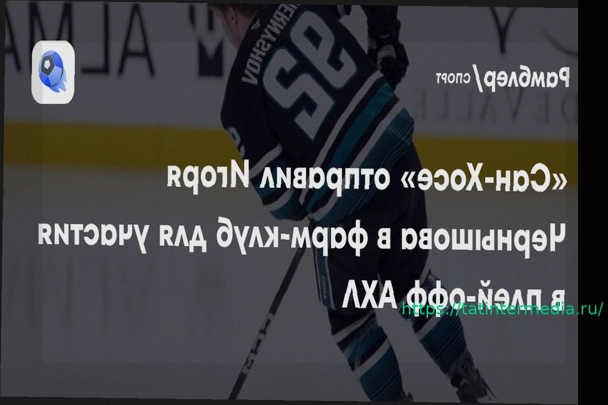 Preview «Сан-Хосе» отправил Чернышова в фарм-клуб для участия в плей-офф АХЛ