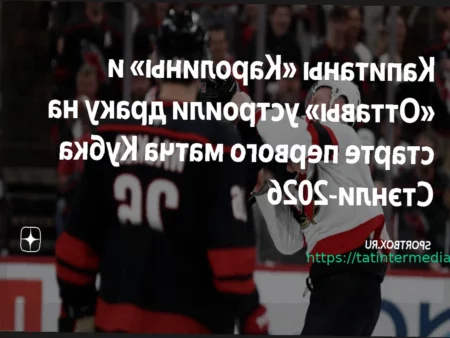 В овертайме матча «Каролина» — «Оттава» отменили гол из-за офсайда