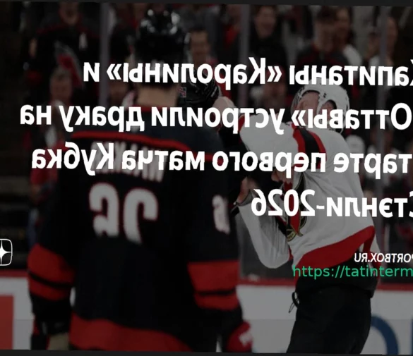 В овертайме матча «Каролина» — «Оттава» отменили гол из-за офсайда