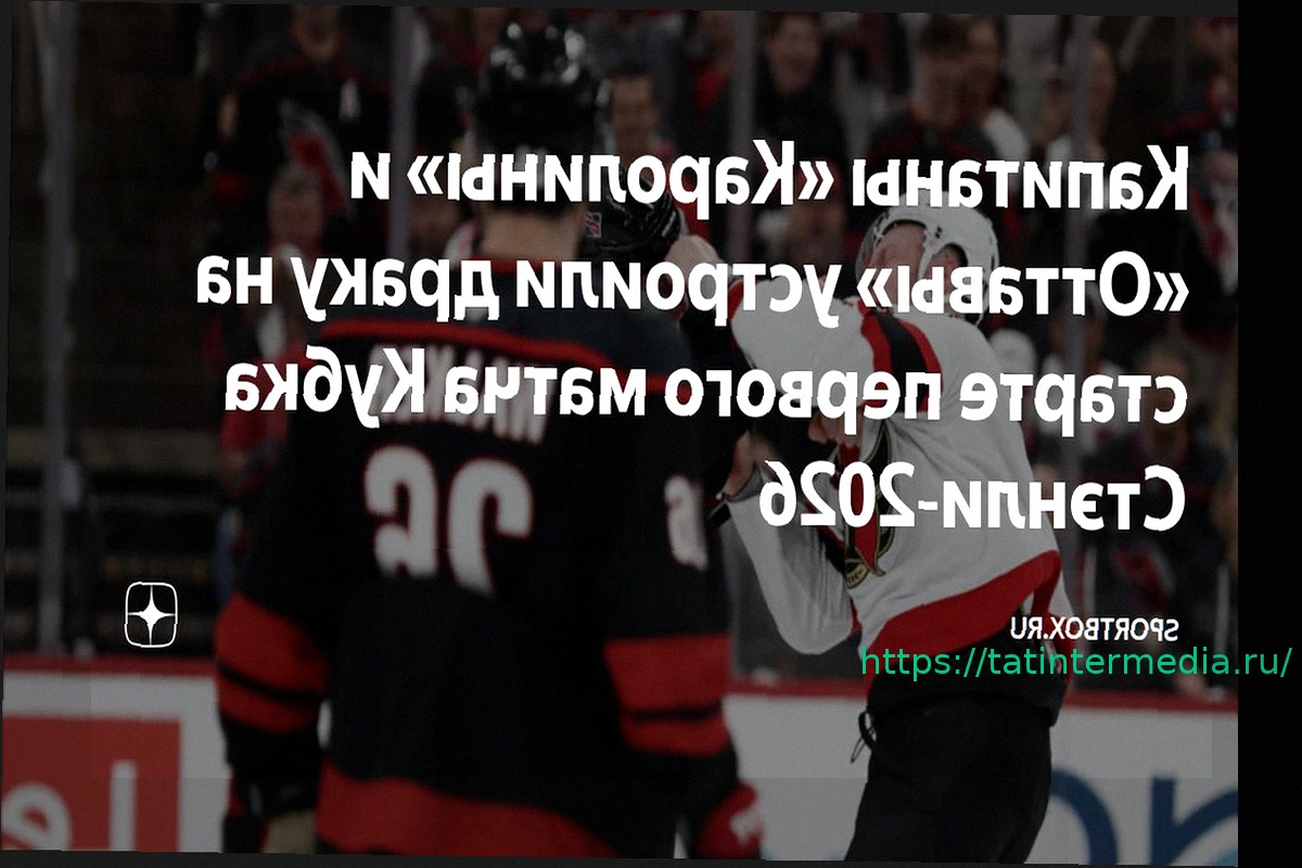 Preview В овертайме матча «Каролина» — «Оттава» отменили гол из-за офсайда