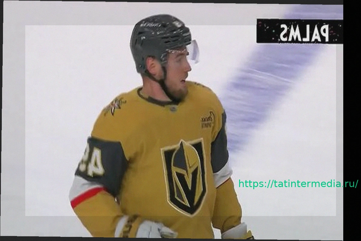 Preview Российский форвард ‘Вегаса’ Иван Барбашев увеличил свой счет до 23 голов в сезоне