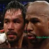 Pacquiao and Mayweather rematch postponed indefinitely