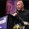 Zuffa Boxing: Новая сила в боксе?