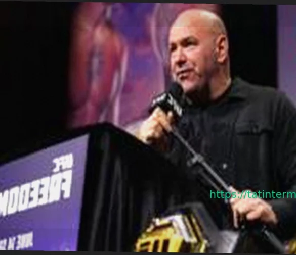 Zuffa Boxing: Новая сила в боксе?