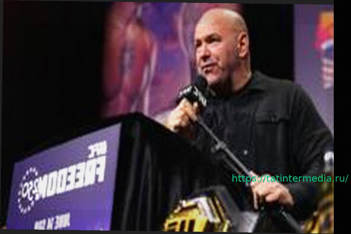 Preview Zuffa Boxing: Новая сила в боксе?
