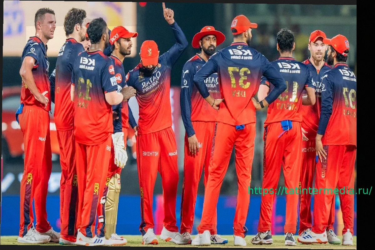 Preview RCB отменили празднование победы в Бангалоре из-за опасений давки